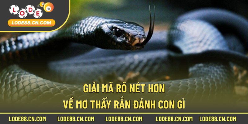 Giải mã rõ nét hơn về mơ thấy rắn đánh con gì