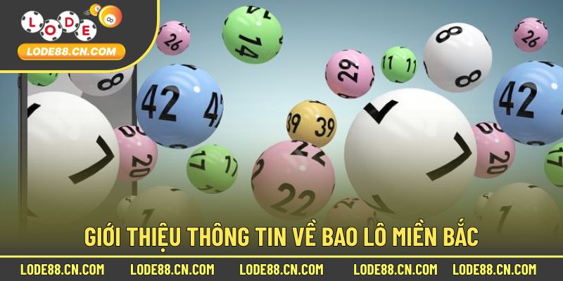Giới thiệu thông tin về bao lô miền Bắc