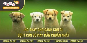 Mơ Thấy Chó Đánh Con Gì