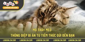 mơ thấy mèo