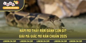 Nằm Mơ Thấy Rắn Đánh Con Gì
