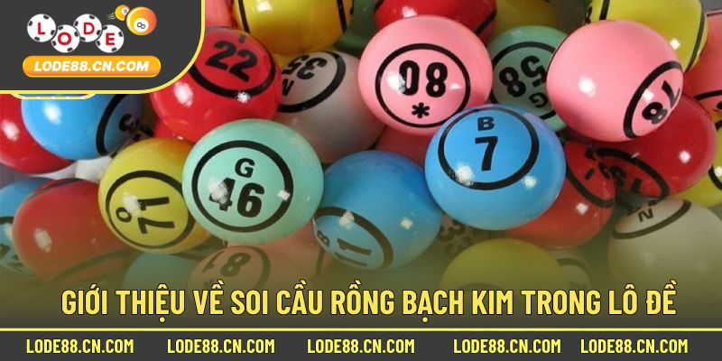 Khái Niệm Trong Lô Đề Với Rồng Bạch Kim