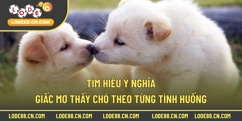 Tìm hiểu ý nghĩa giấc mơ thấy chó theo từng tình huống
