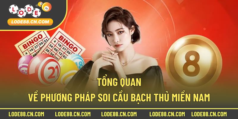 Tổng quan về phương pháp soi cầu bạch thủ miền nam